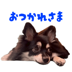 sachi_20250905171958