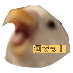 mirei_20250905193643