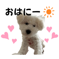 honey_20250905173815