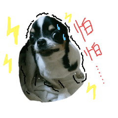 圓吉妹害怕‘’吉‘’了～