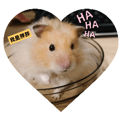 黃金鼠胖胖貼圖