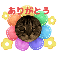 Tatyu_20250905205104
