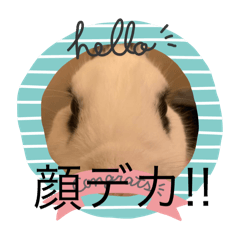 merry_20250906012028