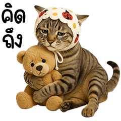 แมวสลิดใส่ผ้าผูกผม