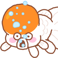 Bobby Goldfish What?