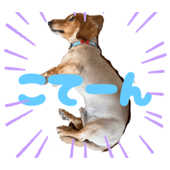 Yurina_20250905215413