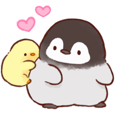 Soft and cute chick(animation)