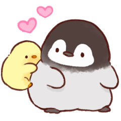 Soft and cute chick(animation)