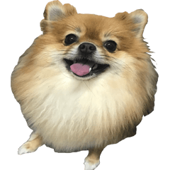 Pubpab
