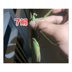 junjun_20250906180054