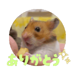 masa_20250906193631