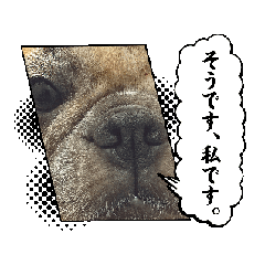 boo_20250907042124