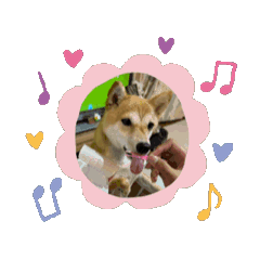 suzu_20250907093011