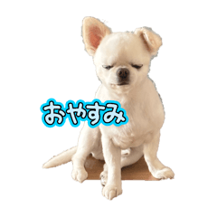 suzu_20250905202245