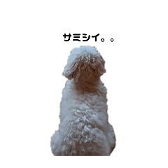 mayuyu_20250905234410