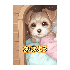 sugar_20250906135600