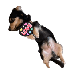 Yuchi_20250906134829