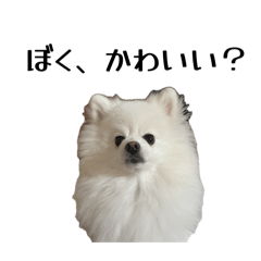 M_20250905230044