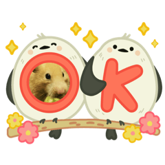 Ohagi&kinako