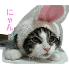 paruzo_20250905225658