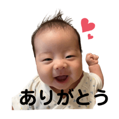 shio_20250905225634