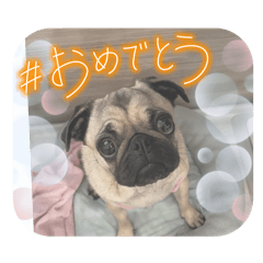 KAORI_20250906093425