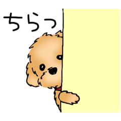 ハッピーわんこ！トイプードル2