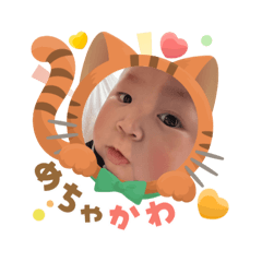 AYAME_20250906083046