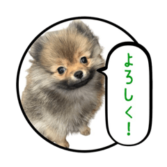 Honey_20250906104253