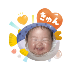 OTO SUMMER collection