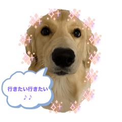 kiki_20250906121354