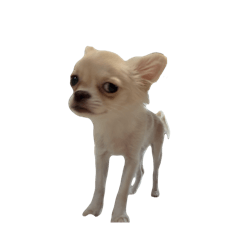 m_20250906162756