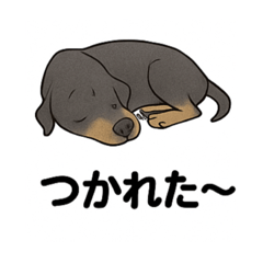 roi kaku