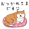 Every Day Dog 柴犬 日本語