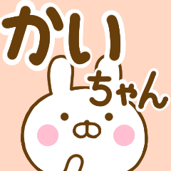 Rabbit Usahina kaichan