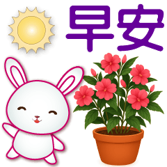 可愛白兔❤️實用問候語貼