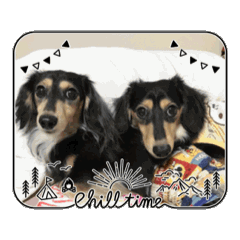 ratetuna_20250907132144