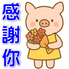 可愛豬❤️日常實用貼圖