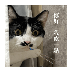 福吉戰隊暴龍出巡