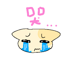 小喵的生活