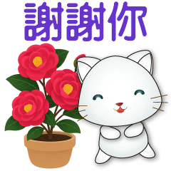 可愛白貓❤️日常實用貼圖❤️