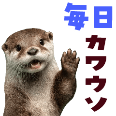 Otter stamp Sticker