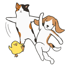 Always happy animals