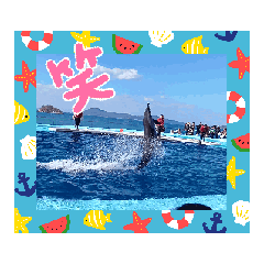 mami_20250907191932