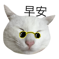 喵孩子