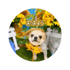 CanCam_20250907224916