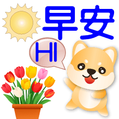 可愛柴犬❤️日常實用貼圖❤️
