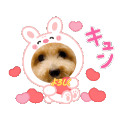 123_20250908074614