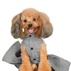 ココちゃんのかわいいスタンプです！