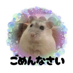 UCO_20250905092445 – LINE stickers | LINE STORE